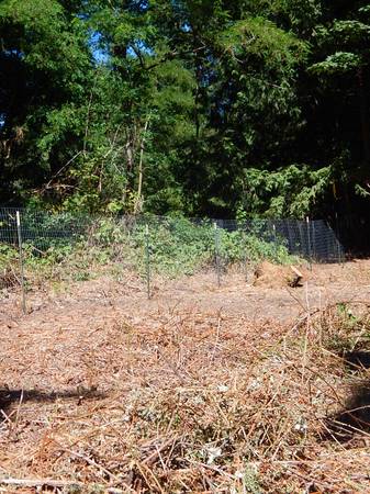 wanted comfortable off grid unit to live in 1