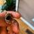 Sterling Silver Ring with such beautiful Stone and Design Design 5 thumbnail