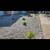 Landscaping & Hardscaping Services *******Free Estimate******** 18 thumbnail