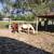 Horse Boarding Stall Available 1 thumbnail