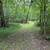 Beautiful mountain like acreage with mountain stream 20 thumbnail