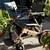 Electric folding wheelchair w/ remote 3 thumbnail