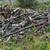 Free firewood 1 thumbnail