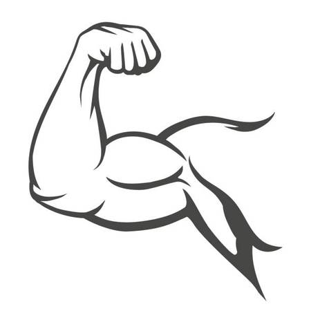 Personal Trainer – Bodybuilding Focus ($50/hr) 1