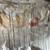 Photo Christmas backdrop- holiday 5 thumbnail
