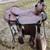 Western Horse Saddles 1 thumbnail