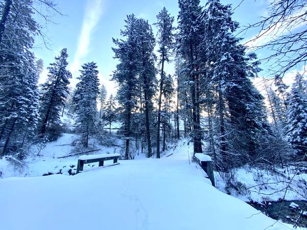 $1,995,000 / 3br - 1823ft2 - 10.57 serene creekside acres in Coeur d'Alene with house to be built (Couer d'Alene, ID)63701073567363123