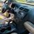 2016 Ford Explorer Base 4WD 21 thumbnail