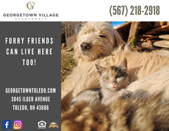 $759 / 2br - ¡Oeste de Toledo! ¡Excelente ubicación! ¡Hogares disponibles! (Toledo)63836553417603120