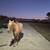 High Brow Cat Foundation Bred AQHA Palomino (2022) Filly Started 13 thumbnail
