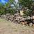 Firewood Delivered OCTOBER SALE !! Special BBQ, Stacked 15 thumbnail