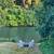 Stunning Riverfront home walk to town large bonus rooms 21 thumbnail