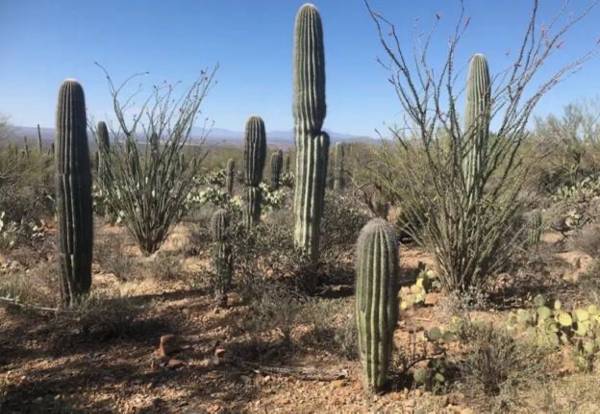 Handyperson wanted in exchange for free room to rent (and utilities) 1