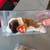2 Beanie Babies 4 thumbnail