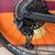 2023 Specialized Diverge 5 thumbnail