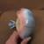 5.5 inch diameter Royal Copley petal bowl with bluebird on the top 3 thumbnail