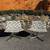 Arper “Catifa 60” Lounge Chairs 1 thumbnail