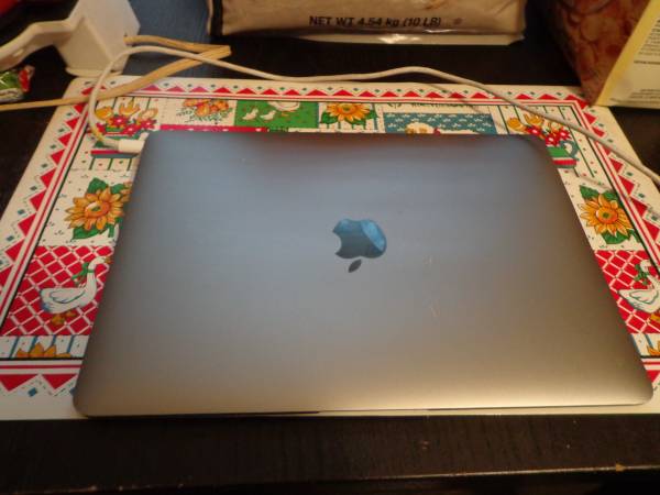 Apple MacBook  A1534-13.3"-1.2ghzM3,256gb,8gb,Webcam,Wireless,-2017 - $275 (concord / pleasant hill / martinez)63471134124035120