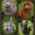 $1200.  SPECIAL BOARD AND TRAIN DOG OBEDIENCE###  OFF LEASH ! 1 thumbnail