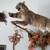 Bobcat & Grouse mount 1 thumbnail