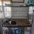 Guinea pigs 1 thumbnail