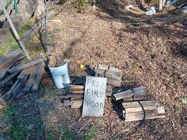 Free Firewood 1
