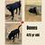 Pets needing forever homes please 11 thumbnail