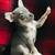 Chi female chihuahua 2 thumbnail