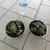 Pair Of Beige/Blue Stripe Garden Pots With Succulents 2 thumbnail