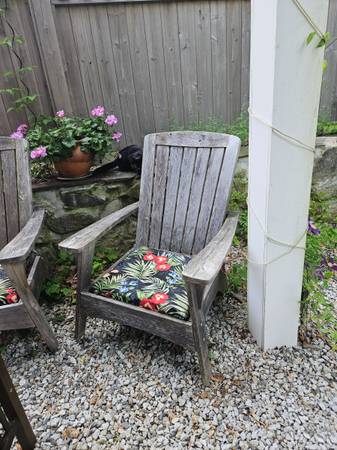 Cedar adirondack chair with cushion 1