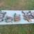 Duck decoys Mallards 13 thumbnail