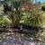 Garden care 7 thumbnail