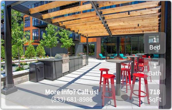 $1,430 / 1br - 718ft2 - For affordable living in Saint Paul, check out this 1 bed, 1 bath! (Saint Paul)64003960177410120