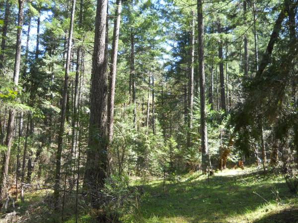 $135,000 25k down 4.75 ac Sunny Valley.  Wooded, gently sloping land zoned RR5 (Sunny Valley)64192594955009120