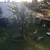 SUNNY,  STUDIO, BERK BOWL MKT., BART, GARDN 22 thumbnail
