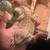 Bearded dragon 3 thumbnail