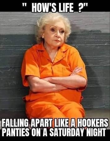 Looking for a home for my lizard 1