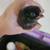 Babies Available 6 thumbnail