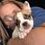 Male French Bulldog 7 weeks old 1 thumbnail