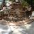 LANDSCAPE DESIGN, CONSUTATIONS AND INSTALLATION  BY HORTICULTURIST! 6 thumbnail