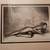 Josephine Baker original signed letter and photograph 7 thumbnail