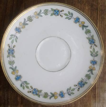 Plate 1