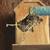 Finches 4 thumbnail