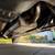 1969 Ford Mustang Fastback – Rotisserie Built 393 CI 351W Stroker V8 20 thumbnail