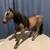Large Toy Horse 2 thumbnail