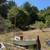 Abbott Estate Sales, End of the Summer Sale! Massive! 12 thumbnail