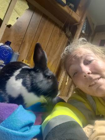 My BunBun63970072461314122