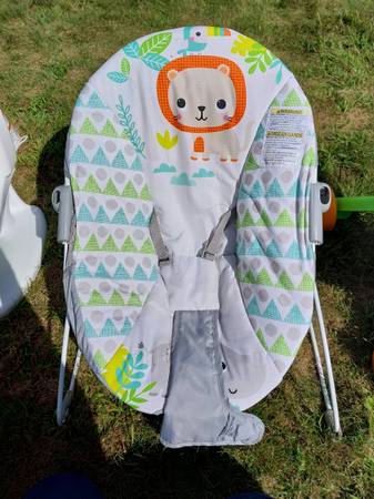 Baby Bouncer 1