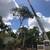 Tree Service in Sarasota looking for skilled ground person 6 thumbnail