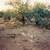 40 acres located inside Tohono O'odham Indian Reservation 12 thumbnail